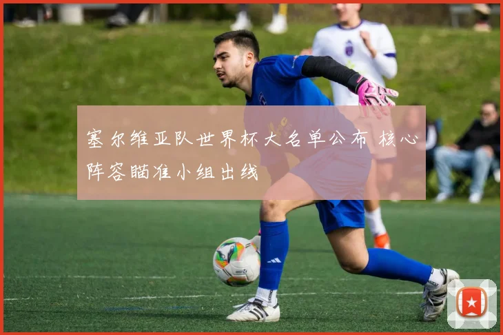 塞尔维亚队世界杯大名单公布 核心阵容瞄准小组出线
