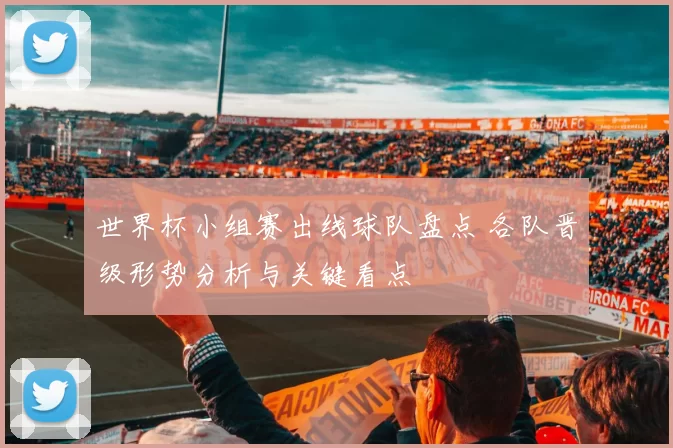 世界杯小组赛出线球队盘点 各队晋级形势分析与关键看点