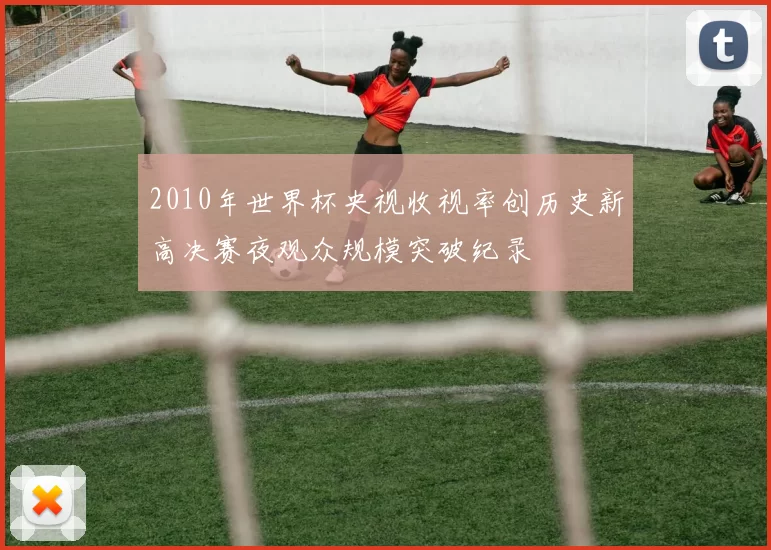 2010年世界杯央视收视率创历史新高决赛夜观众规模突破纪录