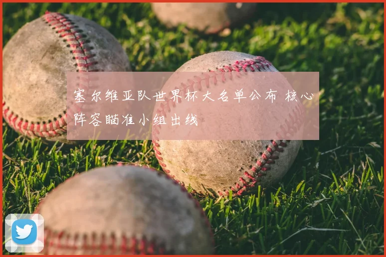 塞尔维亚队世界杯大名单公布 核心阵容瞄准小组出线