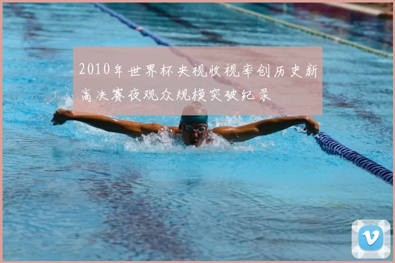 2010年世界杯央视收视率创历史新高决赛夜观众规模突破纪录