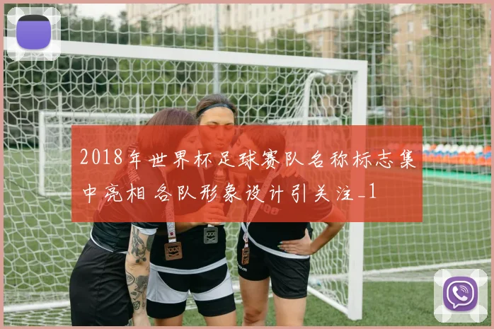 2018年世界杯足球赛队名称标志集中亮相 各队形象设计引关注_1