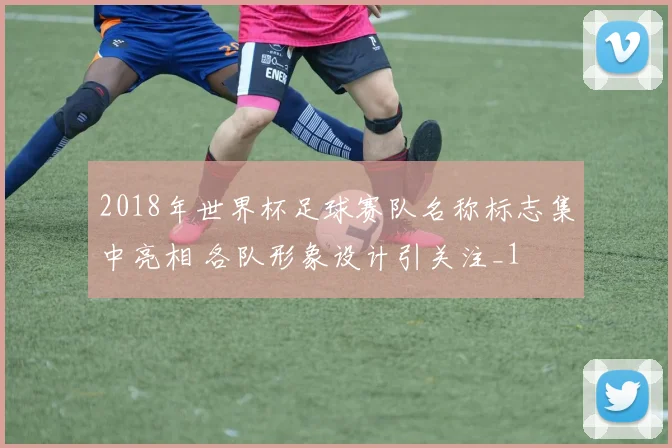 2018年世界杯足球赛队名称标志集中亮相 各队形象设计引关注_1